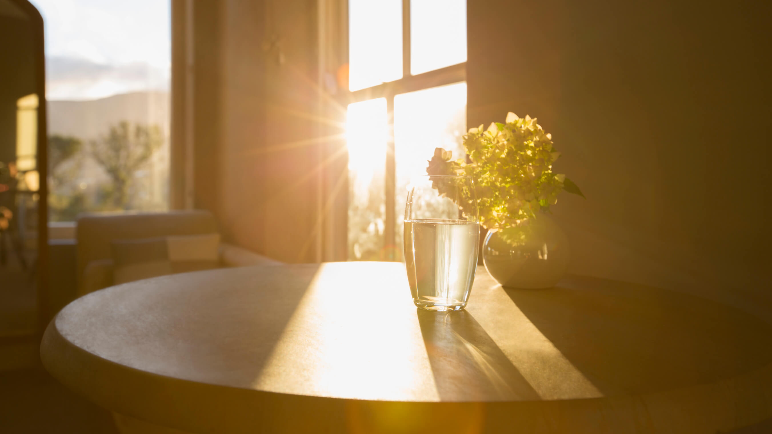 sunshine through new windows