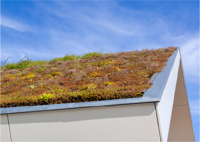 Green Roof