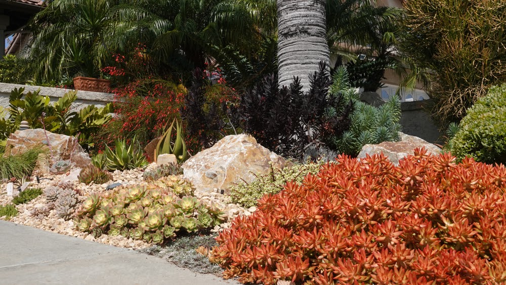 Xeriscape Landscaping What Is, What Does Xeriscape Landscaping Mean